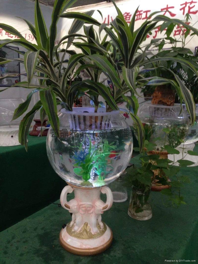 燈光氧氣水培花卉花瓶 4