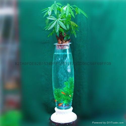充氧燈光玻璃花瓶