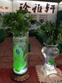 充氧燈光玻璃花瓶 3