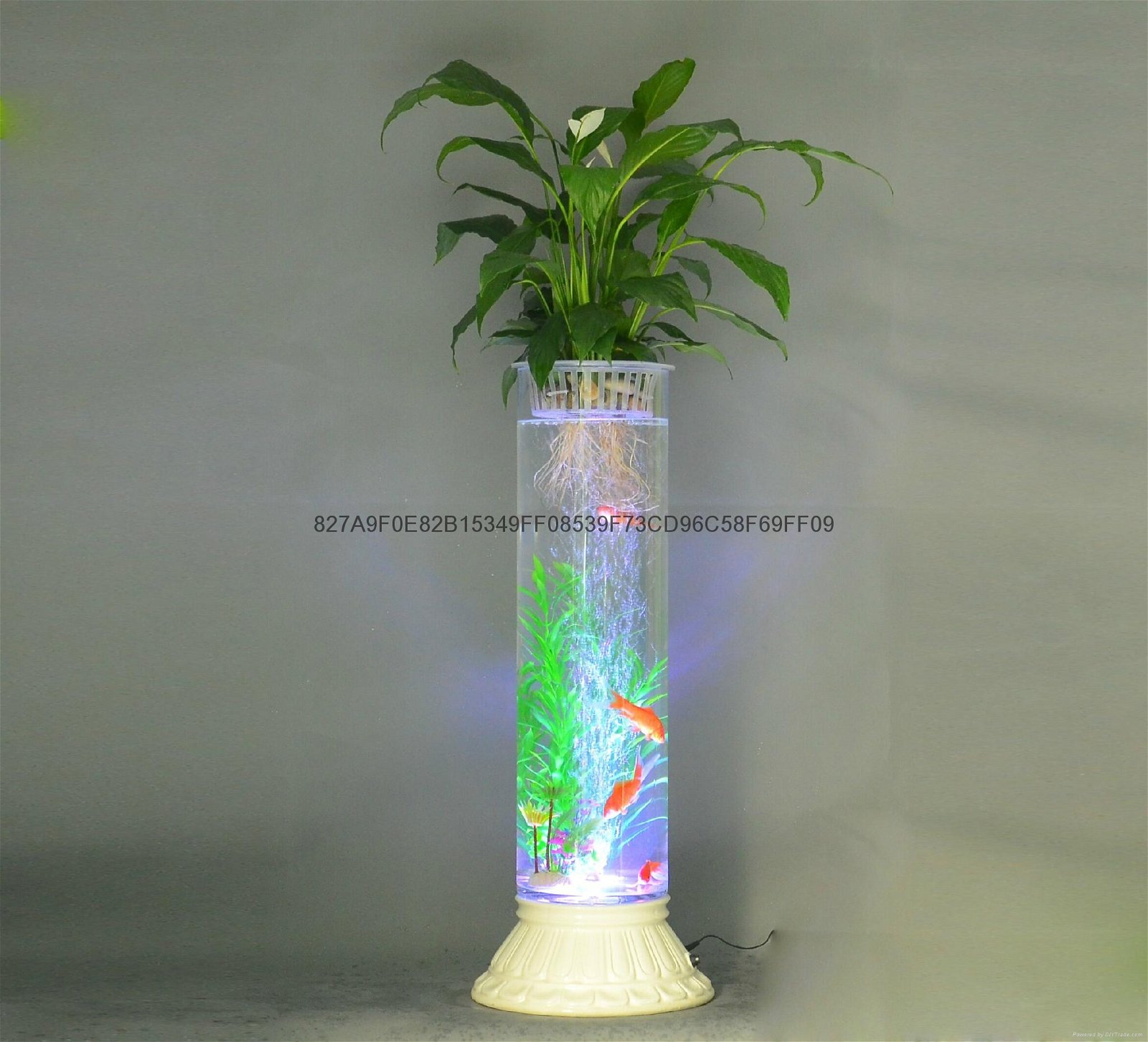 无土栽培花卉灯光氧气水培玻璃花瓶 5
