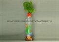 專利燈光氧氣水培玻璃花瓶 4
