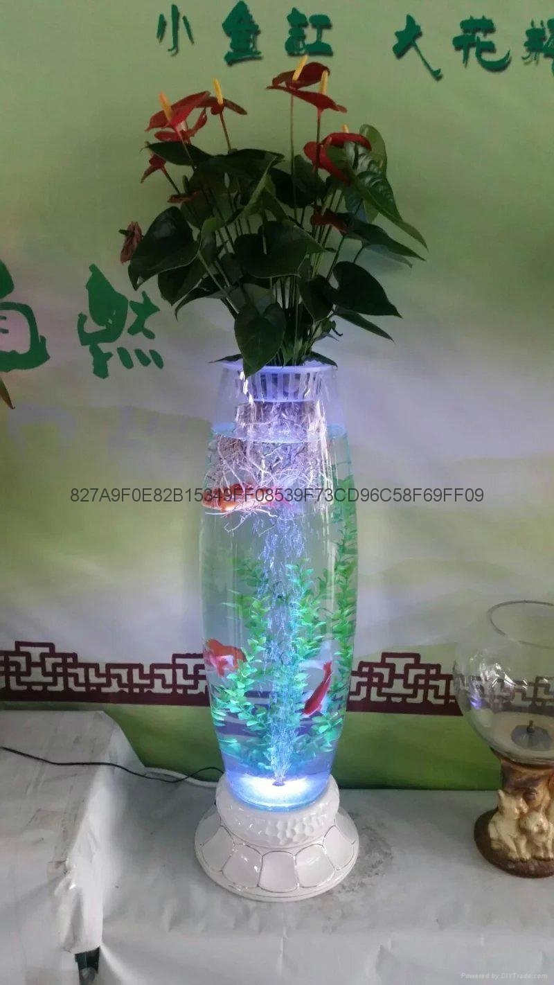 专利灯光氧气水培玻璃花瓶 5