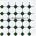 The octagonal shaped ceramic mosaic