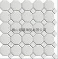 The octagonal shaped ceramic mosaic