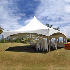 Hexagon Marquee tent 