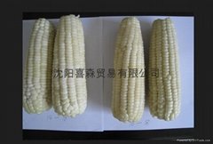 Frozen  corn