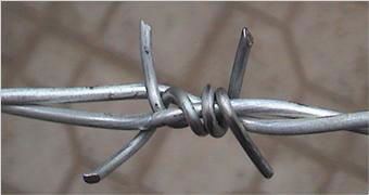 barbed wire