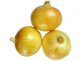 onion