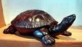 紅木雕烏龜