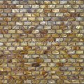 gold color shell mosaic 2