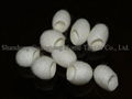 The Natural Silkworm Cocoon Facial Cleanser Ball