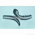 Snake Bangle 2