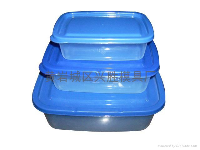 Maintains freshness the box mold 3