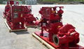移动式柴油机排污泵 2