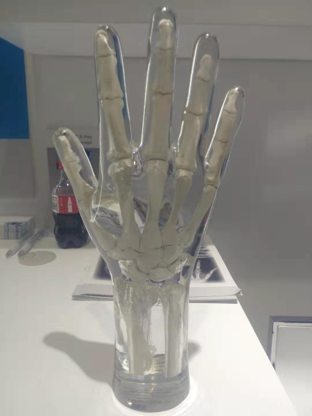  真人骨头X射线手部模体 3