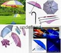 Umbrella  Sun umbrella  Fold umbrella 1