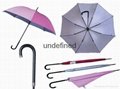 Umbrella  Sun umbrella  Fold umbrella