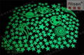 Water transfer printing luminous stickers green long-acting