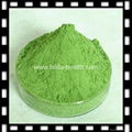 Organic barley grass powder 1