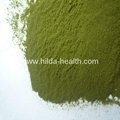 Organic Barley grass juice green powder