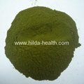 Organic barley juice green powder 1
