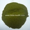 Organic barley juice green powder