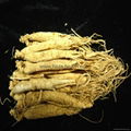 Ginseng root extract(Ginsenoside)