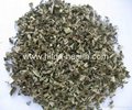 Wholesale High Quality Dried Herbal Leonuri Motherwort Natural Dried Leonurus Si
