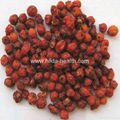 Rose hip tea cut  4