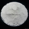 stevia extract powder