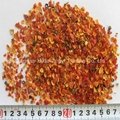 Dried wild rosehip fruit shell 