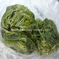 Frozen wakame stem shredded