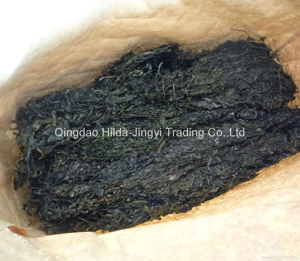 Machine dried cut kelp 10kg bag