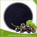 High Quality Black Currant Extract