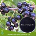 High Quality Black Currant Extract