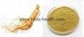 2015 Hot Sale Ginseng Extract