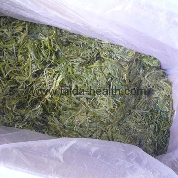 Frozen shredded seaweed wamake stem 15kgs carton