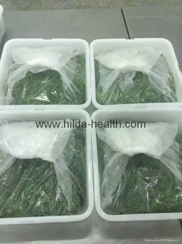 Frozen shredded seaweed wamake stem chuka salad package