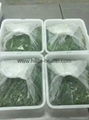 Frozen shredded seaweed wamake stem chuka salad package