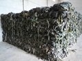 2020 Crop Machine dried sea kelp cut
