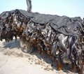 2019 Dried cut kelp(laminaria,sea tangle,seaweed)