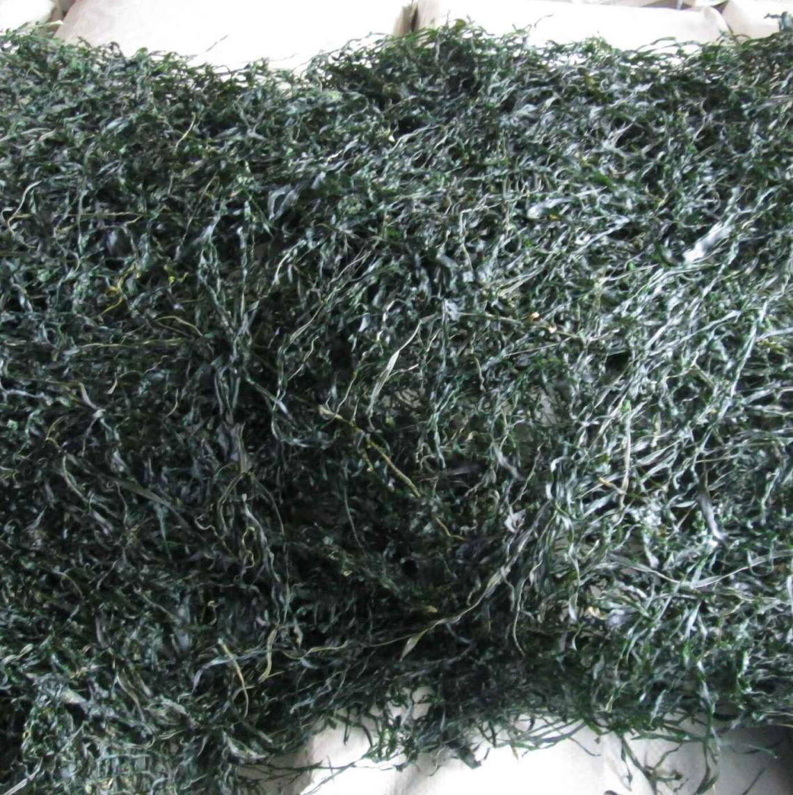 machine dried cut kelp swelling 15-18