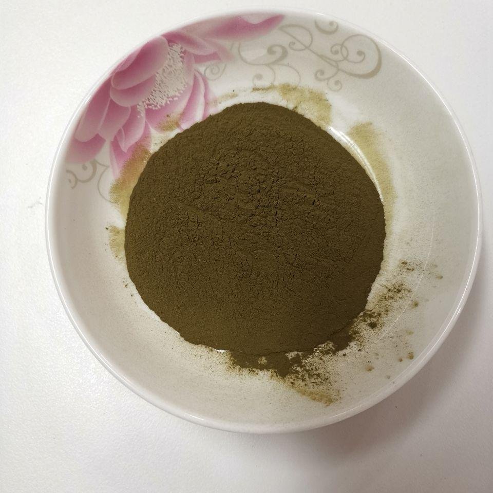 Dunaliella Salina powder