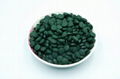 2020 Certified Organic Spirulina tablet