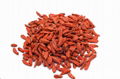 New Crop Ningxia Goji Berry Wolfberry for Sale