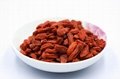 New Crop Ningxia Goji Berry Wolfberry for Sale
