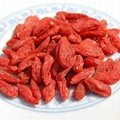 Chinese Goji Berries Healthy Food baie de goji