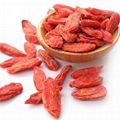 Chinese Goji Berries Healthy Food baie de goji