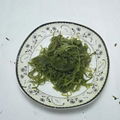 2020 crop Frozen salted wakame stem cut for hiyashi seaweed salad 