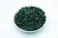 High quality Organic Spirulina